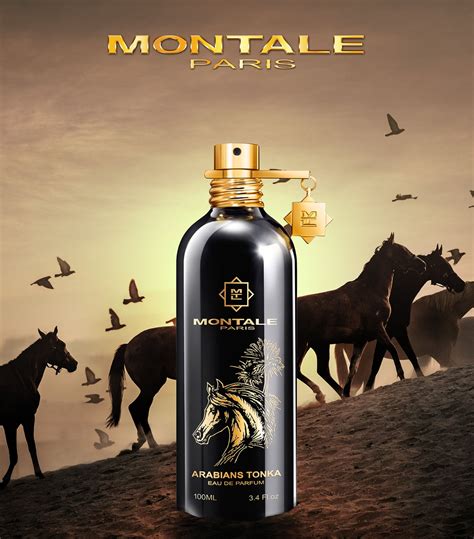 montale arabians tonka price.